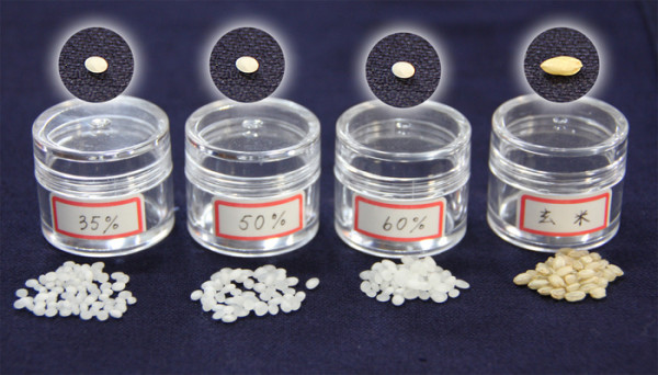 獭祭 岛耕作纯米大吟酿 720ml