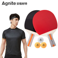 Agnite 安格耐特 安格耐特（Agnite）直拍2拍3球乒乓球拍 F2320 红色/黑色 对拍套装