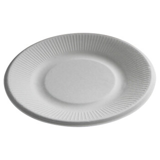 尚龙一次性餐具纸盘 烧烤盘子蛋糕盘 蔬菜水果盘 20只装 环保户外烧烤配件