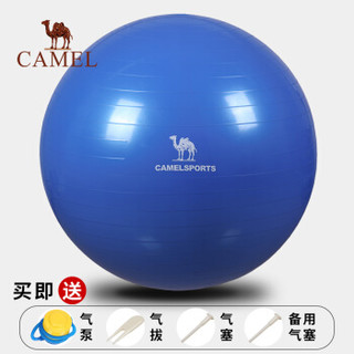 骆驼（CAMEL）瑜伽球 加厚防爆正品减肥瘦身健身球儿童孕妇分娩球平衡瑜珈球 A7S3D7102 宝蓝 65cm