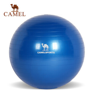 骆驼（CAMEL）瑜伽球 加厚防爆正品减肥瘦身健身球儿童孕妇分娩球平衡瑜珈球 A7S3D7102 宝蓝 65cm