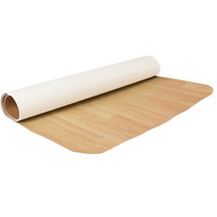 司特拉(XTERRA)划船机垫专业家用减震地垫XTM