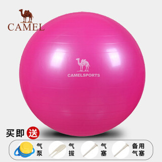 骆驼（CAMEL）瑜伽球 加厚防爆正品减肥瘦身健身球儿童孕妇分娩球平衡瑜珈球 Y8S3D7602 玫红 65cm