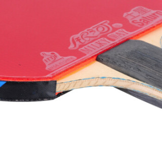 商品银河 乒乓球拍横拍碳素底板 10星兵乓球拍10b长柄送拍套