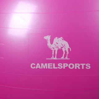 骆驼（CAMEL）瑜伽球 加厚健身球平衡弹力运动健身球大尺寸瑜伽球 Y8S3D7603 玫红 75cm