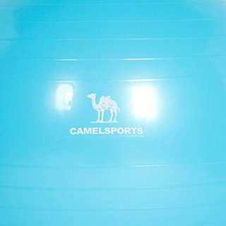 骆驼（CAMEL）瑜伽球  加厚健身球平衡弹力运动健身球大尺寸瑜伽球 Y8S3D7603 湖蓝 75cm