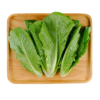 商品沱沱工社有机直立生菜约300g