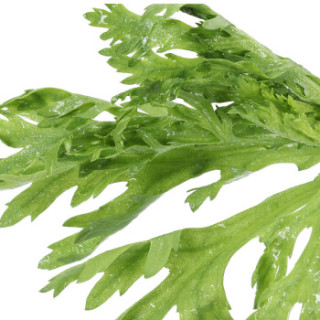 商品自然之星 有机皇帝菜 约250g 茼蒿 同蒿 蓬蒿 蒿菜 蒿子 蓬花菜