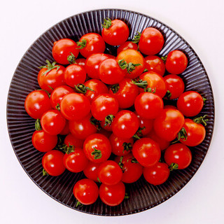 枝纯 串收粒采糖果番茄 小西红柿  圣女果 双杯装 约重320g 健康轻食 水果蔬菜沙拉食材 休闲零食 吃货优选