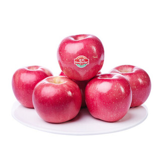 烟台红富士苹果 5kg 单果240g起