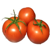 绿农说 供港大番茄 约800g 西红柿 新鲜蔬菜