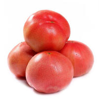 农之初 宁城西红柿 约1kg  地理标志产品  新鲜蔬菜