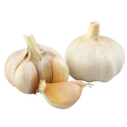 绿鲜知 山东大蒜 干蒜头 4头 约200g 烧烤食材 产地直供 新鲜蔬菜 *39件