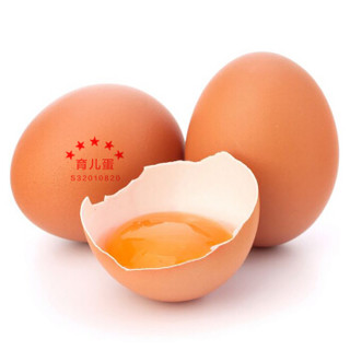 快乐的蛋出品 育儿蛋 无抗鲜鸡蛋20枚 家庭放心蛋