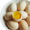 萨伽牌 西藏特产 精品有机藏鸡蛋20枚/盒  鲜鸡蛋 林间散养 高空产蛋  年货礼盒