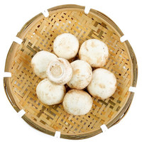 东源兴 白蘑菇 蘑菇 约250g 新鲜蔬菜 火锅食材
