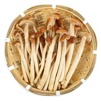 东源兴 茶树菇 蘑菇 约200g 新鲜蔬菜