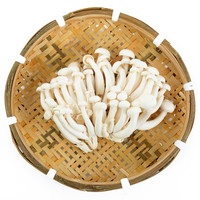 东源兴 白玉菇 蘑菇 约150g 新鲜蔬菜 火锅食材