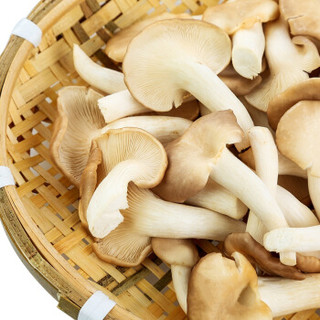 东源兴 秀珍菇 蘑菇 约200g 新鲜蔬菜 火锅食材