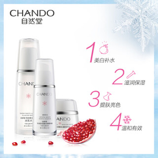 CHANDO 自然堂 雪润皙白水霜精护肤套装