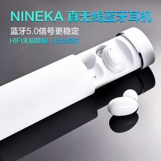 NINEKA 南卡 N1 无线蓝牙耳机 (通用、入耳式、白色)