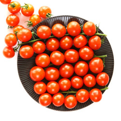 枝纯糖果番茄串收粒采西红柿双杯装320g新鲜水果16件