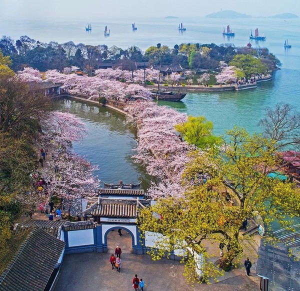 背靠鼋头渚樱花海，畅游动物园探险之旅！无锡太湖新泽假日酒店1晚度假套餐