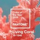 春夏焕新、评论有奖：又一个真香定律？去年那样紫很迷人，今年珊瑚橘有活力！