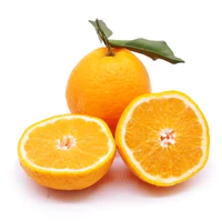 四川青见柑橘新鲜桔子净重5斤