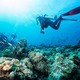 泰国涛岛Crystal Dive潜店PADI考证 （OW/AOW） 可选住宿