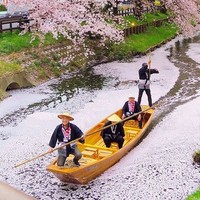 自由行：樱花季！全国多地-日本东京/大阪5-6天（直飞，市区、温泉等多酒店选择）