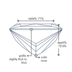 Blue Nile 0.83克拉 公主方形钻石（成色E，切工VG，净度VVS2）