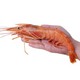 国联 野生阿根廷红虾 L1（20-40只） 2kg *2件 +凑单品