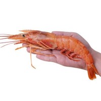 国联 野生阿根廷红虾 L1（20-40只） 2kg *2件 +凑单品