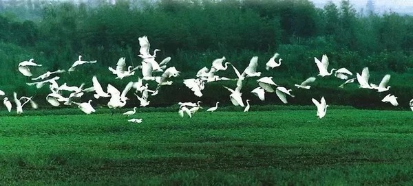 山林野奢 湖州慧心谷绿奢度假村1晚+双早+丰富活动