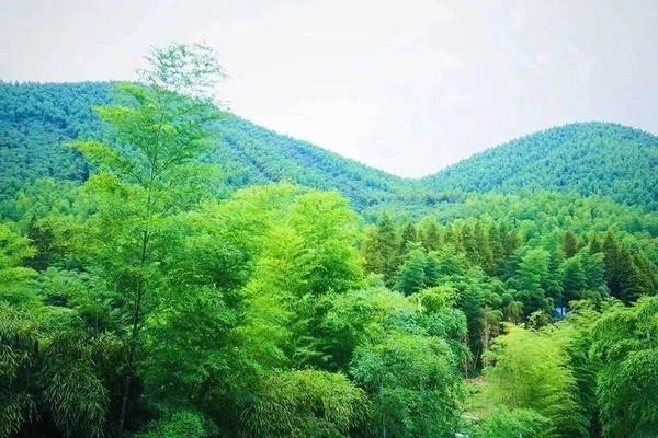 不远处的诗意生活！湖州慧心谷绿奢度假村1晚+双早+丰富活动