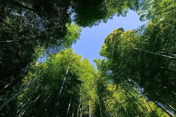 不远处的诗意生活！湖州慧心谷绿奢度假村1晚+双早+丰富活动