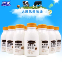 欧亚牛奶大理牧场低温酸奶原味酸奶酸牛奶243g*12瓶
