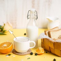 澳大利亚制造 全脂奶粉（便携装）480克