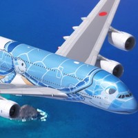 开航特价  全日空A380海龟彩绘机 全国多地-美国夏威夷