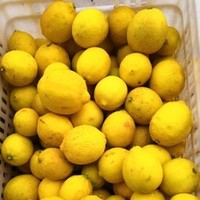 地道果 安岳柠檬 榨汁丑果 6斤
