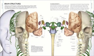 The Human Brain Book: An Illustrated Guide to its Structure, Function, and Disorders 精装