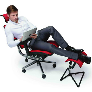 Ergonor 保友办公家具 S-HAM S-HAM电脑椅 酒红色 (人体工学椅、网布、54*66*82)