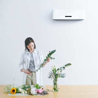 smartmi 智米 智米系列 KFR-35GW-B2ZM-M3 变频空调2 三级能效 1.5匹 白色