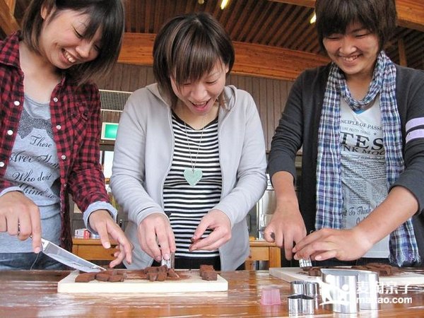 暑期夏令营！日本九州亲子文化6天研学游 日本小学生交流体验