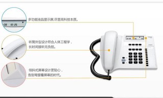 Gigaset 集怡嘉 5020 家用办公座机 (淡灰色)