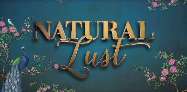Too Faced natural lust系列 2019春夏彩妆 眼影/古铜粉/高光修容