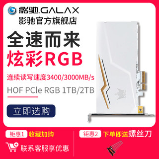 GALAXY 影驰 名人堂HOF PCIE RGB 1TB 固态硬盘