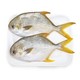 翔泰 冷冻金鲳鱼 700g（2条装）*5件+冷冻酸菜鱼片 500g