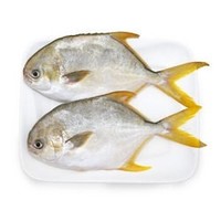 翔泰 国产海南金鲳鱼 700g（2条） *5件